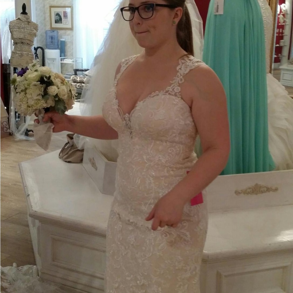Stella York Lace Wedding Dress in Cream